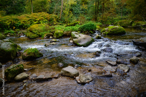 rocks with moss and autmun leaves nearby the river aist in the austrian valley aisttal in the region muehlviertel photo