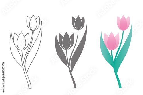 Vector line art set of tulips, spring flowers. Tulip flower. Tulip illustration.