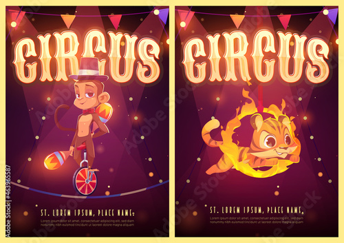 Circus show cartoon posters with animals artists on big top arena. Carnival entertainment with tiger jump through fire ring and juggling monkey riding monocycle on rope perform on stage, Vector flyers