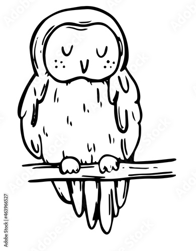 Vector illustration of an owl. The owl is sitting on a branch. cute hand drawing. doodle style. on white isolated background