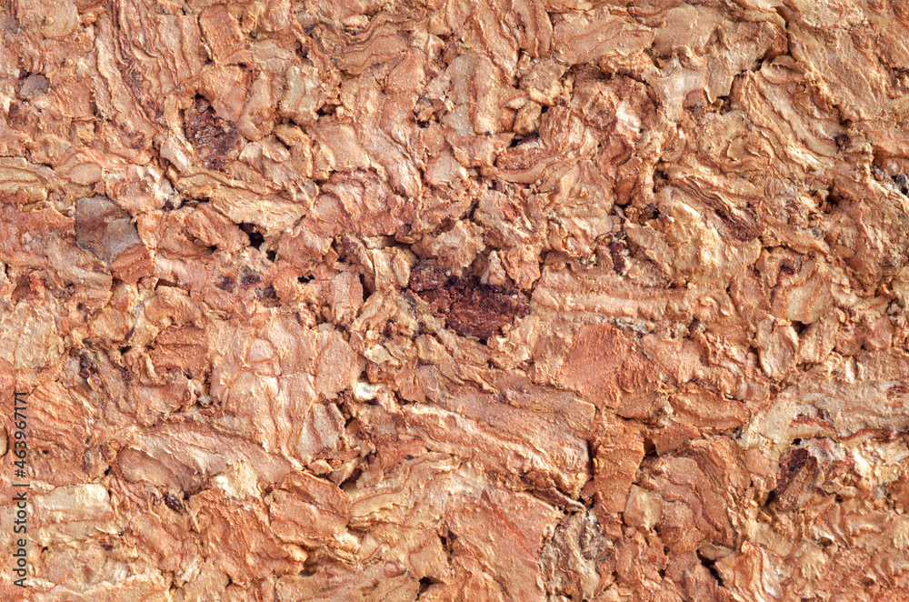 Naklejka premium Texture of the cork surface. Closeup