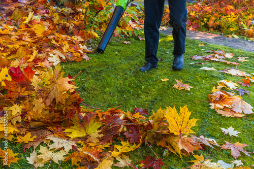 Black blower in male hands with a stream of air blowing off orange and yellow autumn maple leaves while cleaning the lawn photo