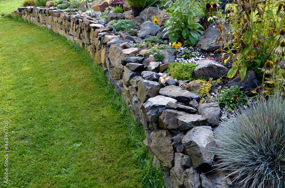 the dry wall serves as a terrace terrace for the garden, where it holds a mass of soil. the wall is slightly curved, which helps it to stabilize better. planting perennials and rock gardens - obrazy, fototapety, plakaty 