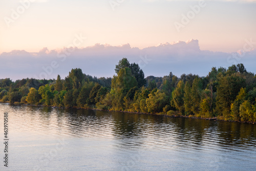 The bank of the Daugava River, overgrown with forest at sunset. Reflection of trees on the surface of the water. Beautiful big cloud of reconciliation. Natural landscape close up