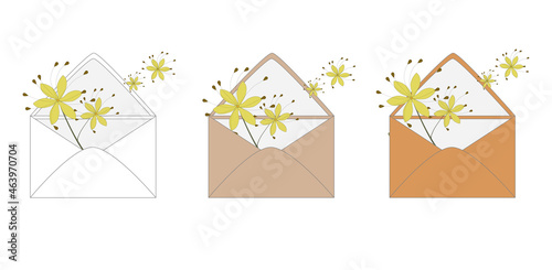 Green sprig of linden flower inside an envelope. On a white background. A set of envelopes of different colors. drawn trendy vector postcards.