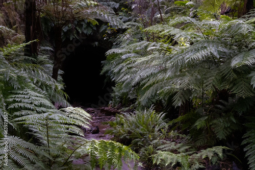 glow worm tunnel entrance near lithgow photo