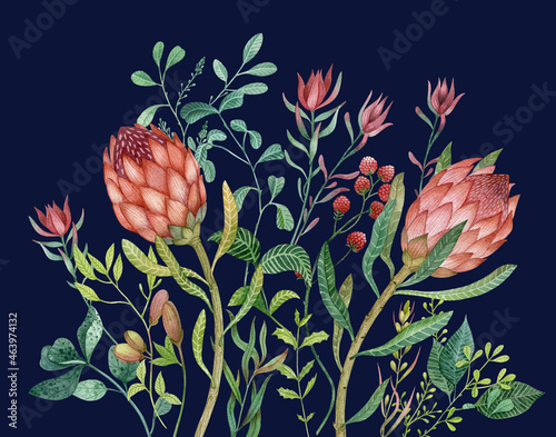 A hand drawn botanical illustration with plants and protea flowers. Watercolor picture with bright colors is perfect for cards, posters, graphic design.