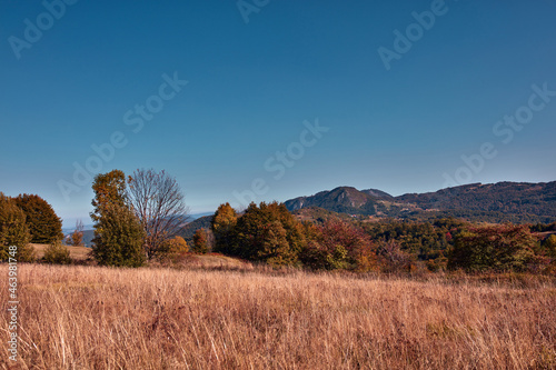 Fototapeta Naklejka Na Ścianę i Meble -  View of countryside hilly landscape in autumn colors.
