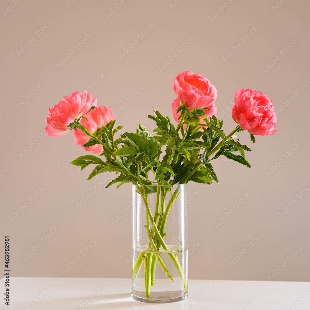 Fototapeta premium The art of floral decorations. A bouquet made of rose peonies in a glass pot against a neutral background. Beautiful flowers.