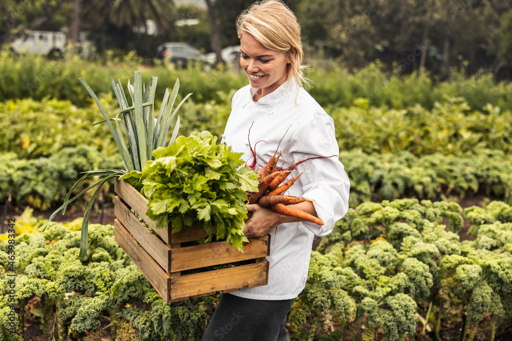 Smiling young chef carrying fresh vegetables on a farm - obrazy, fototapety, plakaty 