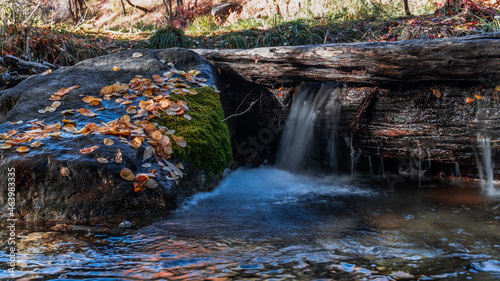 waterfall in autumn