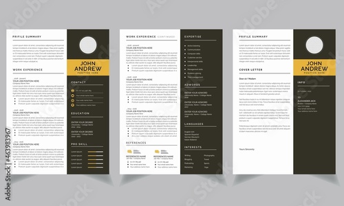 Professional Resume CV Template Layout. Curriculum Vitae Template and Cover Letter Set	