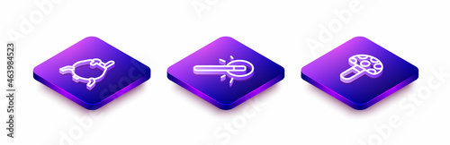 Set Isometric line Witch cauldron, Magic wand and Psilocybin mushroom icon. Vector
