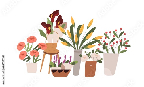 Fresh blossomed flowers, spring floral plants in buckets, vases and pots. Blooming flora composition with cut tulips and peonies in flowershop. Flat vector illustration isolated on white background
