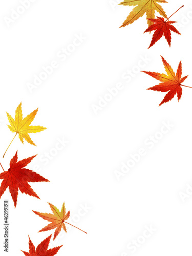 Elements to decorate the corners of the card with bright red maple leaves. botanical illustration of a vector with a watercolor texture. Autumn design for stationary, invitation  and greeting card.