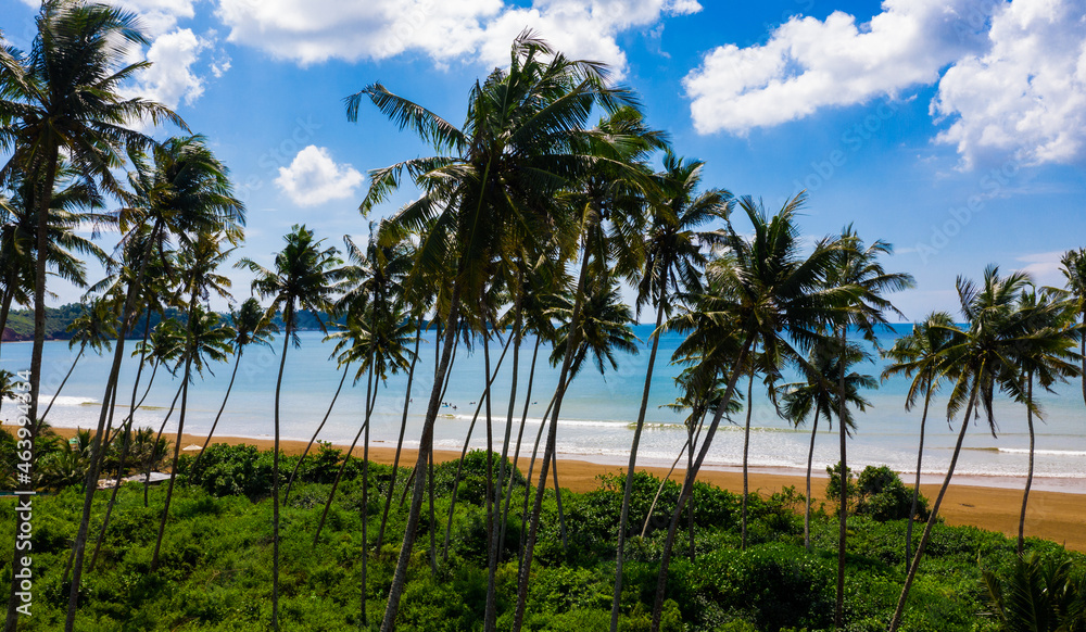 Coconut island