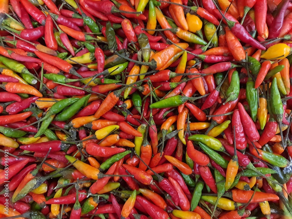 Red hot chili pattern texture background. Close. Landscape. A backdrop of red pepper. Group of red peppers. Red hot chili pattern texture background. Close. Landscape. A backdrop of red pepper. Group of red peppers.