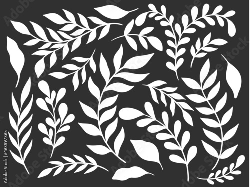 Set plant silhouette element.Branch leave collection.Herb nature isolated.