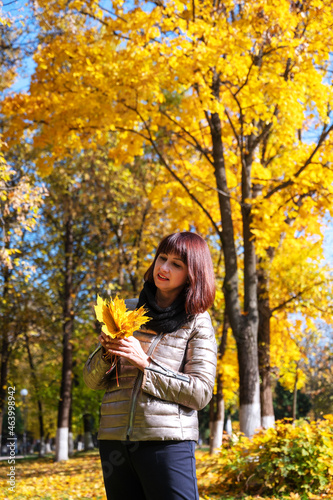 attractive brunette holds a bouquet of yellow maple leaves. A woman enjoys autumn nature and walk in park