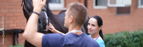 Veterinarian and owner of horse will conduct physical examination