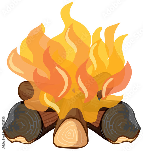 Bonfire with wood on white background