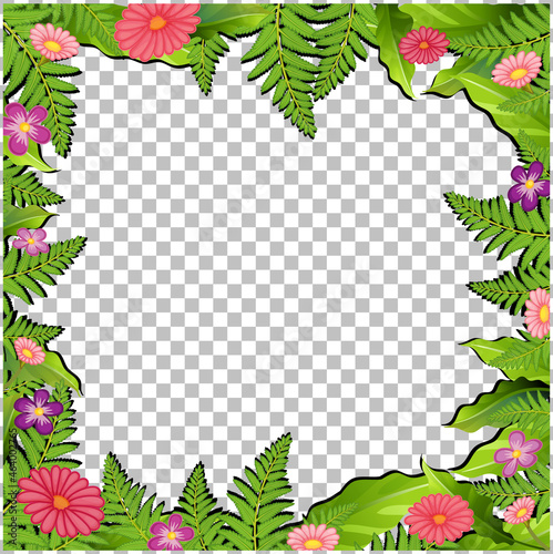 Nature plants frame transparent background