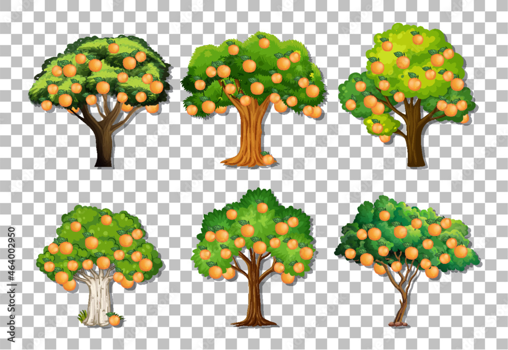 Set of variety orange trees on transparent background