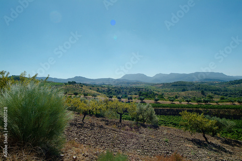 Viñedos y terruño de la Bodega Mas D'An Gil en la comarca del Priorat, provincia de Tarragona, Catalunya. ©               Manuel