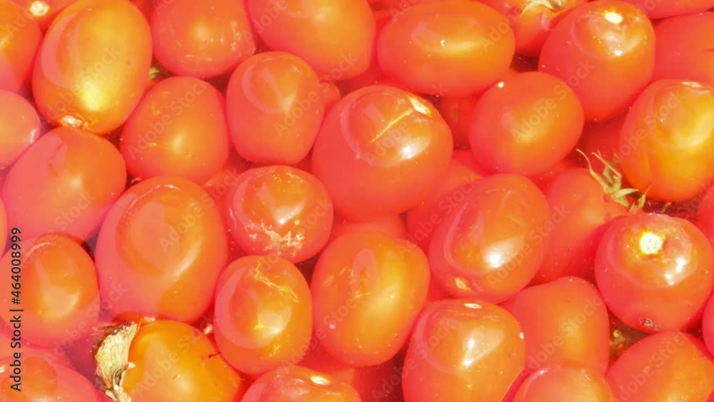 tomatoes, man takes one of the washed tomatoes tomatoes, man takes one of the washed tomatoes