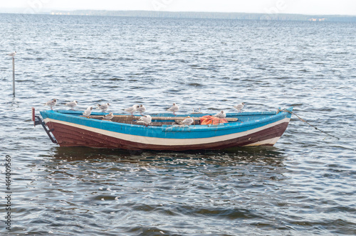 Small fishing boat with seagulls on sea.