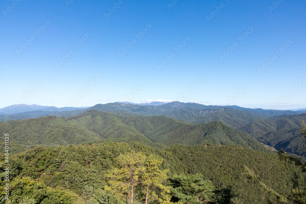 Obraz premium 가을 (fall)