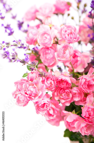 Beautiful Roses Bouquet Flowers isolated on white background