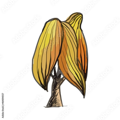 A tree in color on a white background.
