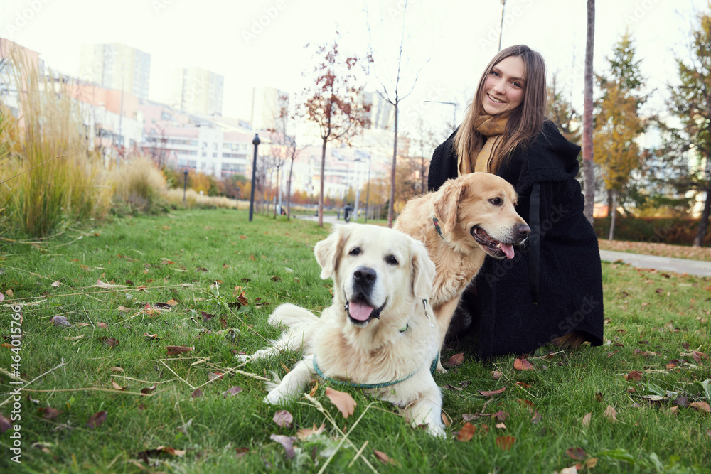 Beautiful girl with two golden retrievers in park