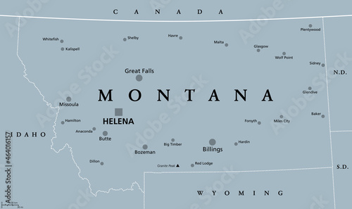 Montana, MT, gray political map with capital Helena. State in the Mountain West subregion of the Western United States of America nicknamed Big Sky Country and The Treasure State. Illustration. Vector photo