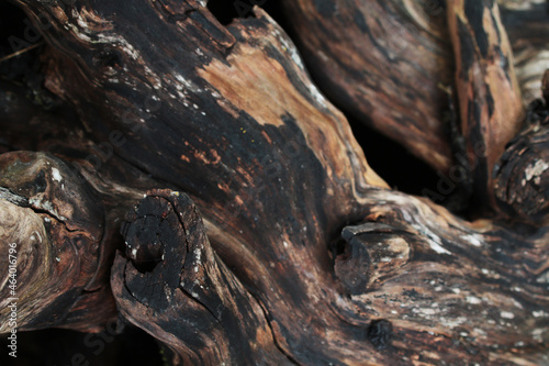 old dark brown and grey blurred modern tree texture