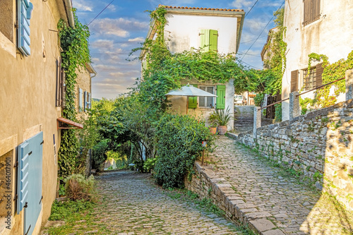 Fototapeta Naklejka Na Ścianę i Meble -  Picture of a romantic cobblestone street overgrown with trees and leaves in the medieval town of Motovun in central Istria during the day