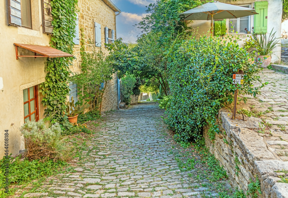 Picture of a romantic cobblestone street overgrown with trees and leaves in the medieval town of Motovun in central Istria during the day