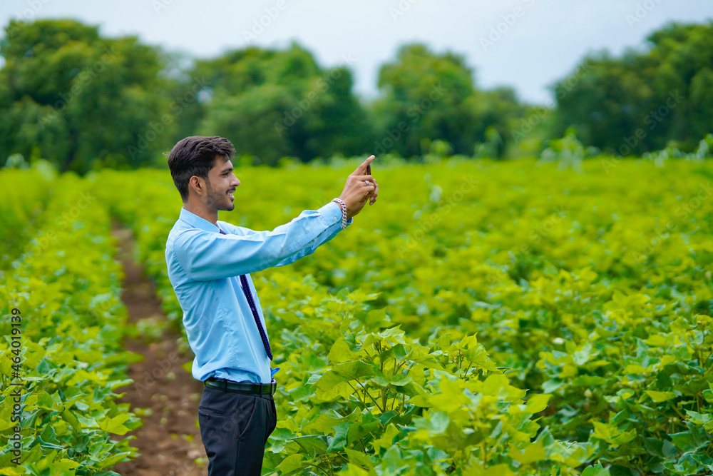 Indian farmer using smartphone at green cotton agriculture field. Indian farmer using smartphone at green cotton agriculture field.