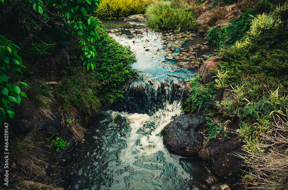 Fototapeta premium Stream of water