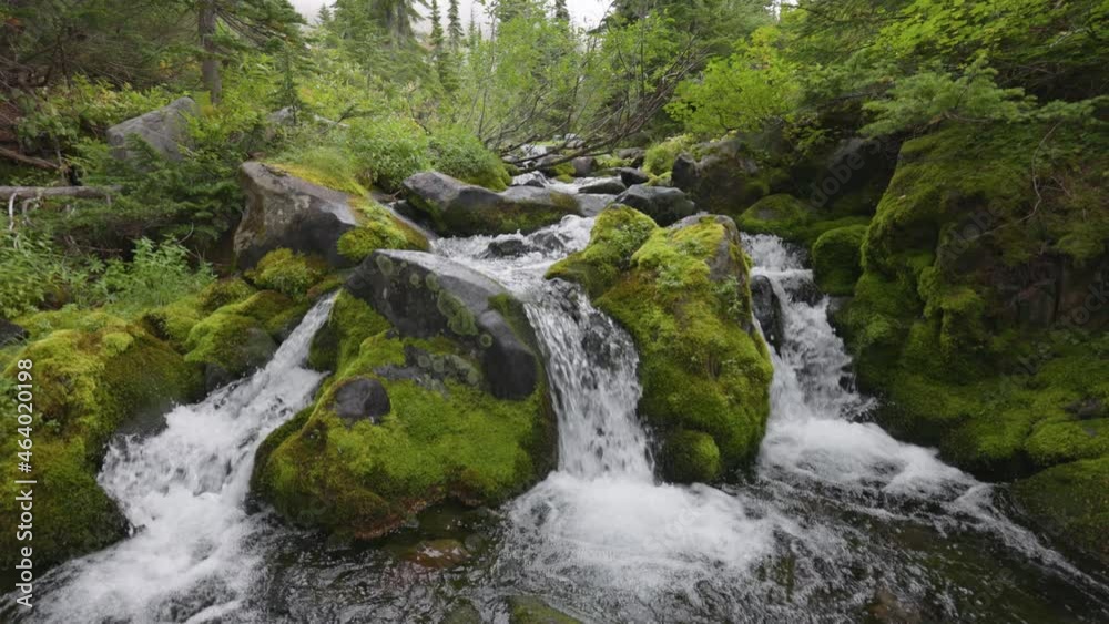 Gimbal shot of river with waterfalls between green stones overgrown with moss. Mount Rainier National Park, United States. Nature of USA