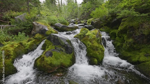 Gimbal shot of river with waterfalls between green stones overgrown with moss. Mount Rainier National Park, United States. Nature of USA photo