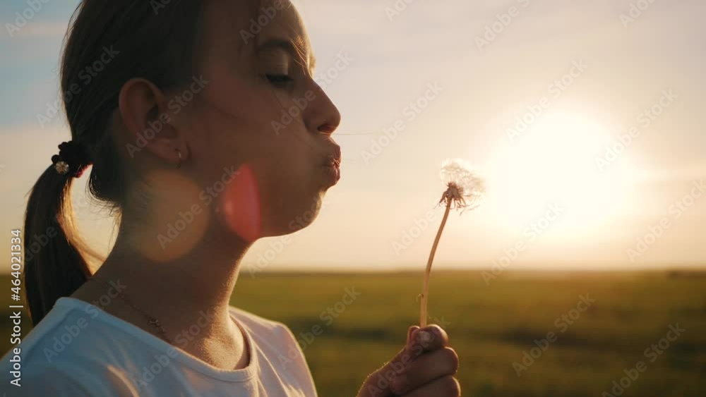 Teenage girl blowing on a dandelion in the park. Pretty child girl blowing on the ripened dandelion in the evening against the background of the sunset sun.