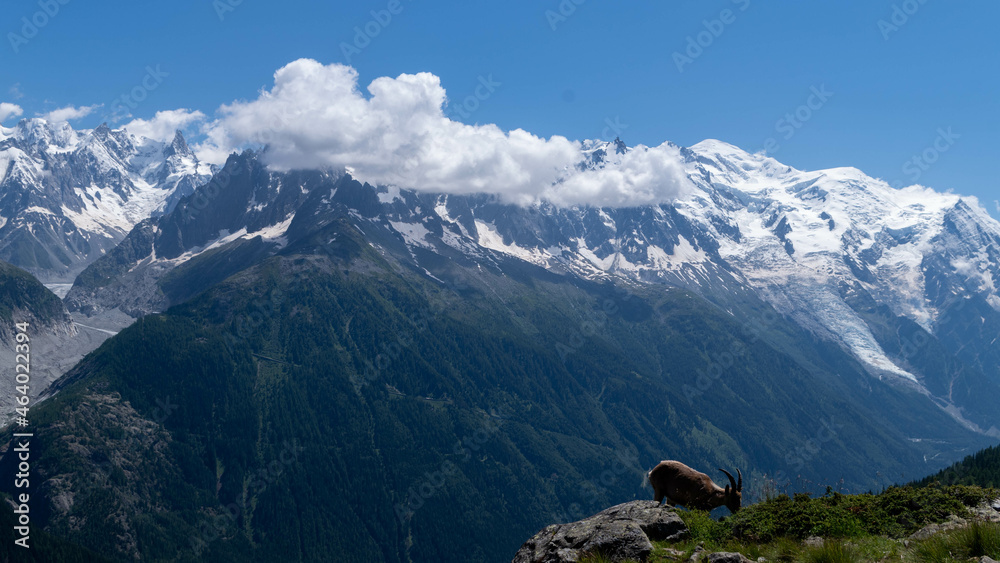 Fototapeta premium Chamonix Mont-Blanc