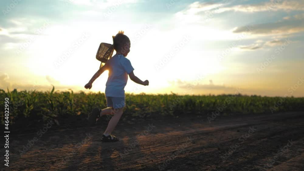 A little boy in a hat run through a cornfield. Young corn field. Slow motion. A little boy in a hat run through a cornfield. Young corn field. Slow motion.
