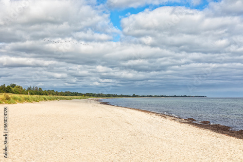 Fototapeta Naklejka Na Ścianę i Meble -  Beach of Marielyst, Falster, Denmark