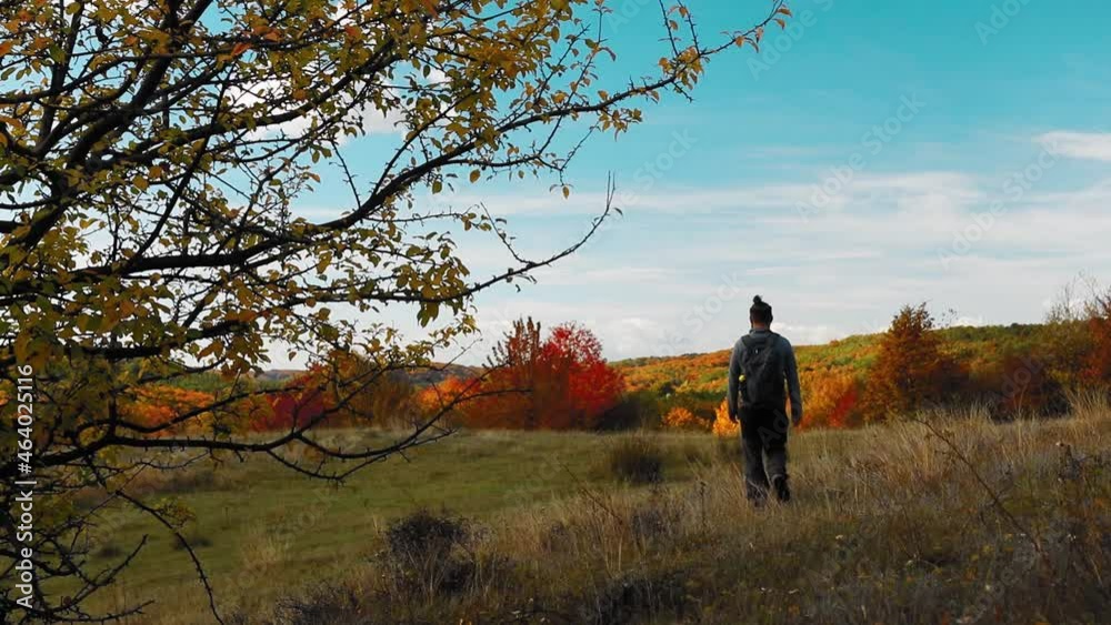 Amazing autumn landscape with a man walking towards the forest with colorful leaves Amazing autumn landscape with a man walking towards the forest with colorful leaves