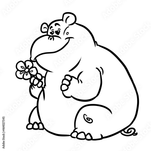 Fat hippo looking small flower postcard illustration isolated image coloring cartoon