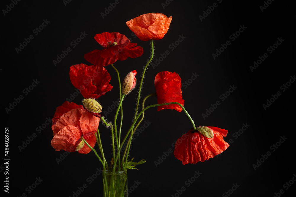 Remembrance Day greeting card. Beautiful red poppies flowers on black background. Lest we forget.