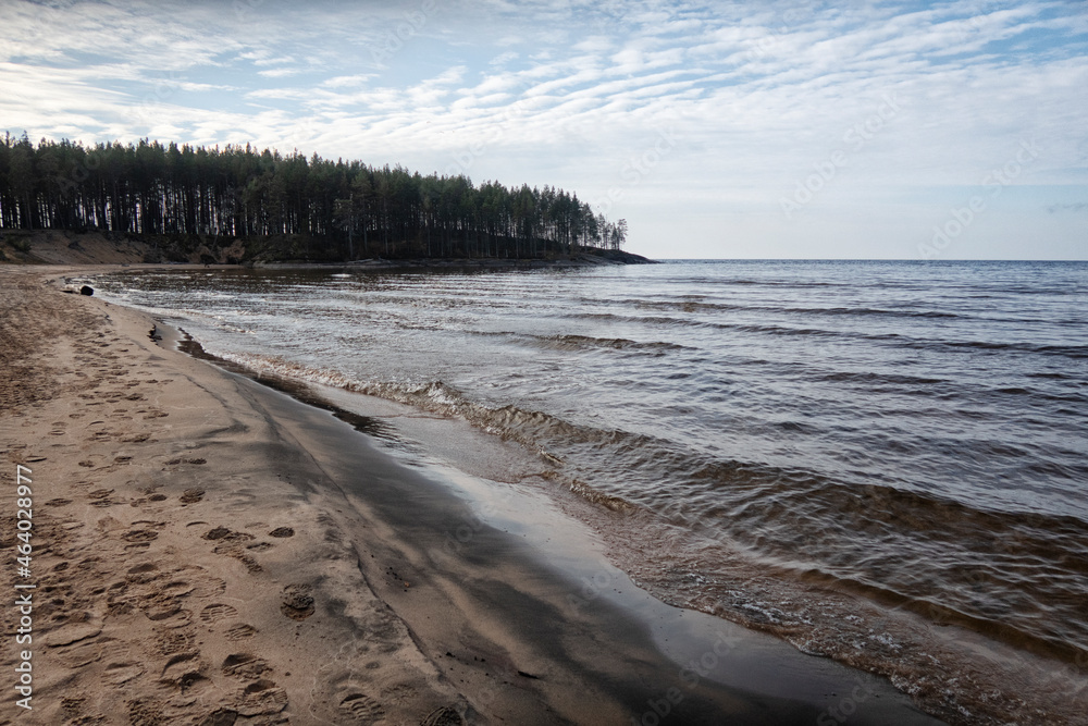 custom made wallpaper toronto digitalBeautiful view from the shore of lake Onega.